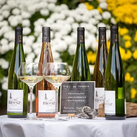 Du Vigneron - Domaine Léon Bleesz Bed & Breakfast Reichsfeld