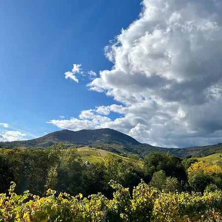فندق مبيت وإفطار Du Vigneron - Domaine Leon Bleesz Reichsfeld