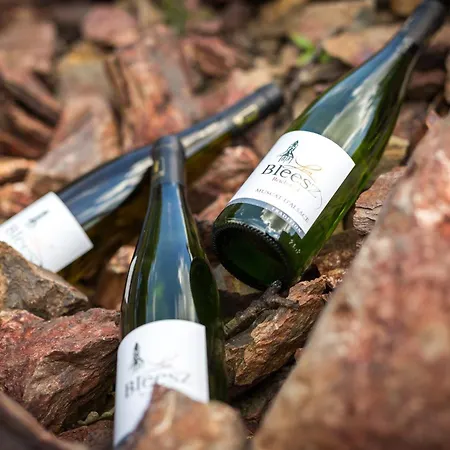 Du Vigneron - Domaine Leon Bleesz فندق مبيت وإفطار