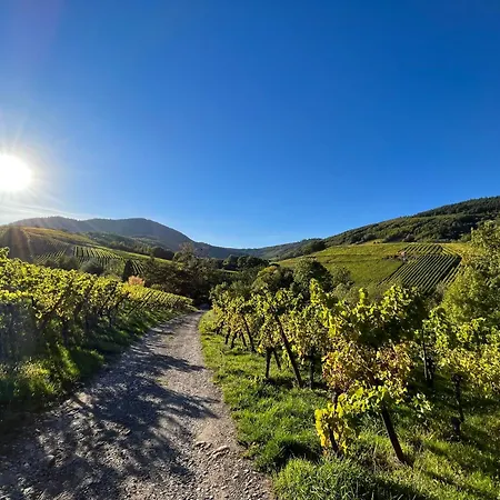 فندق مبيت وإفطار Du Vigneron - Domaine Leon Bleesz Reichsfeld