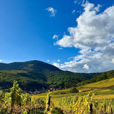 Du Vigneron - Domaine Leon Bleesz 3*