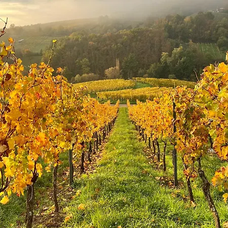 Domaine Bleesz