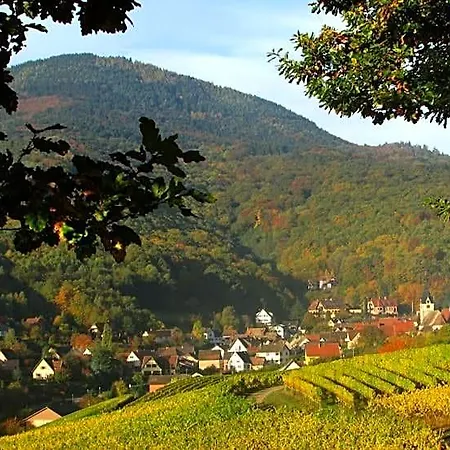 Du Vigneron - Domaine Léon Bleesz Bed & Breakfast 3*
