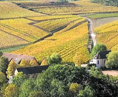 Du Vigneron - Domaine Léon Bleesz Bed & Breakfast 3*