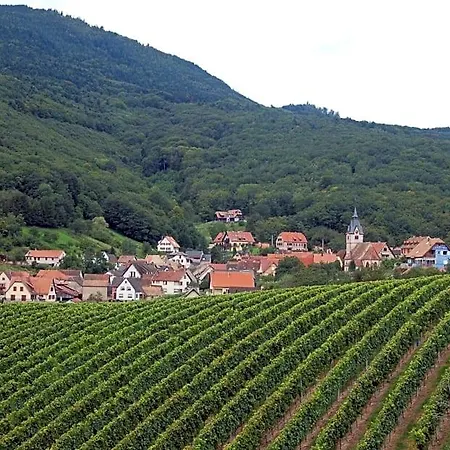 Bed & Breakfast Du Vigneron - Domaine Léon Bleesz Reichsfeld