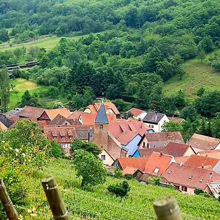 Bed & Breakfast Du Vigneron - Domaine Léon Bleesz 3*