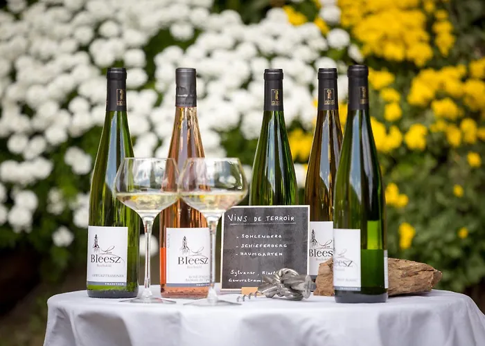 Du Vigneron - Domaine Leon Bleesz Bed & Breakfast Reichsfeld