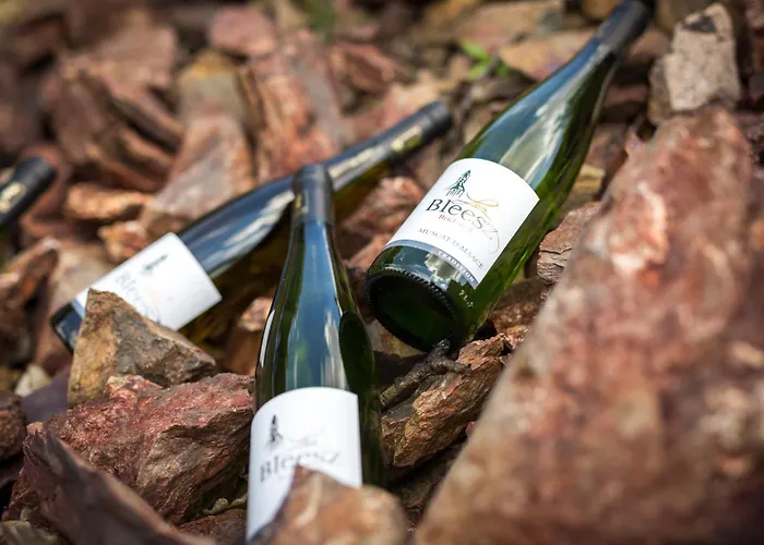 Du Vigneron - Domaine Leon Bleesz Bed & Breakfast