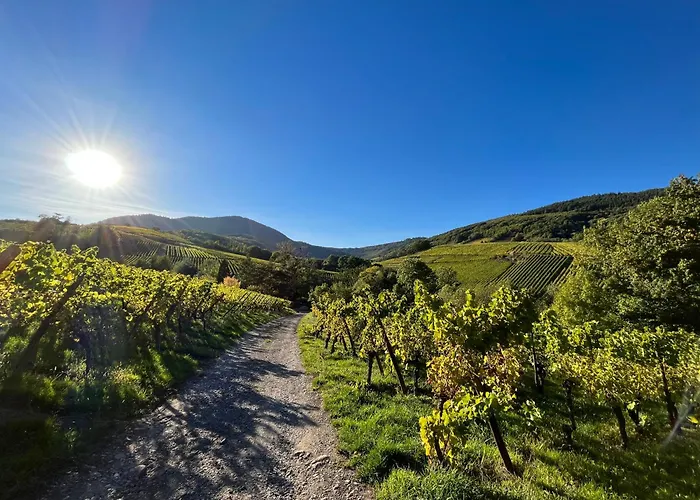 Bed & Breakfast Du Vigneron - Domaine Leon Bleesz Reichsfeld