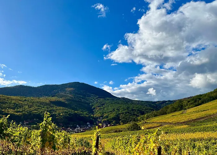 Du Vigneron - Domaine Leon Bleesz 3*