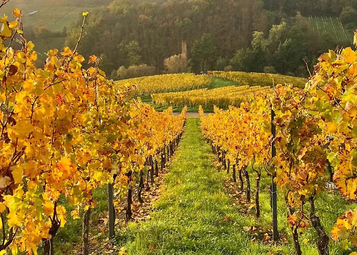 Du Vigneron - Domaine Leon Bleesz